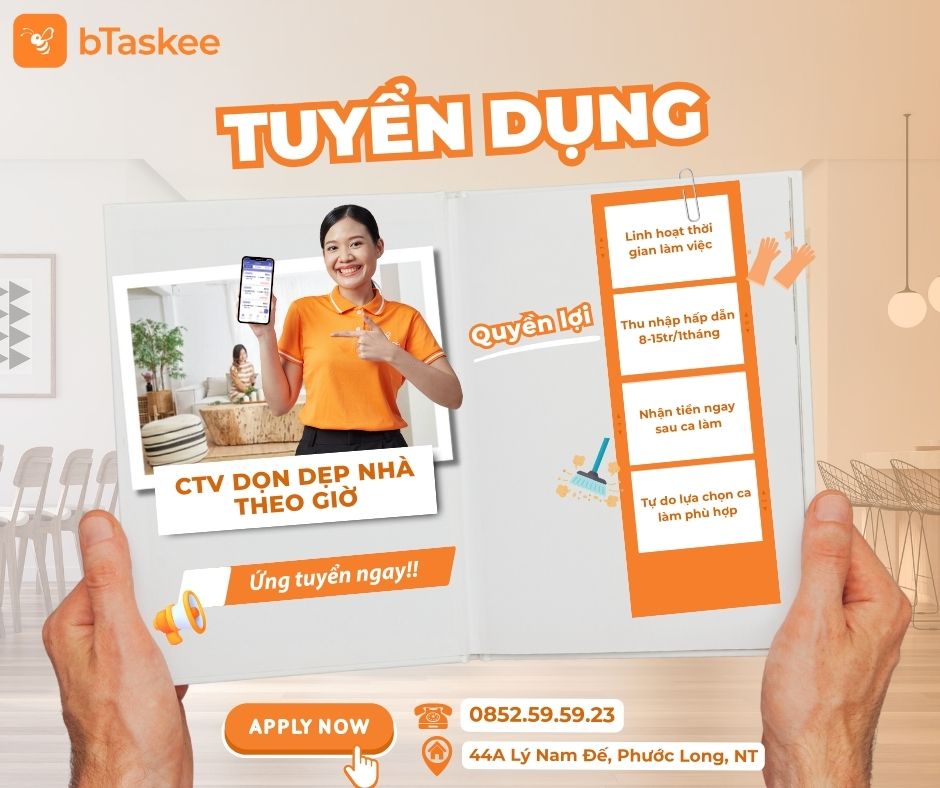 lĩnh vực hoạt động